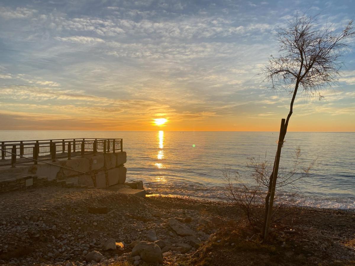 Mediterranean Dream Views Oropesa del Mar Ngoại thất bức ảnh